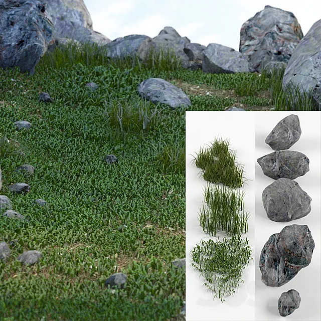 Plants – Flowers – 3D Models Download – Grass and stones SRG