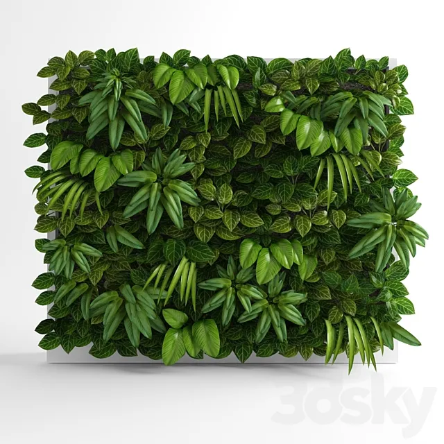 Plants – Flowers – 3D Models Download – Green wall 03