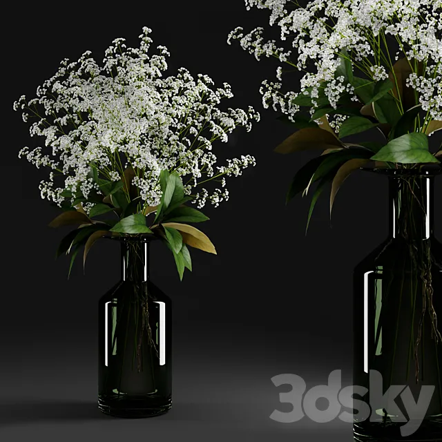 Plants – Flowers – 3D Models Download – Gypsophila and magnolia leaves in bottle (MAX 2011; OBJ)