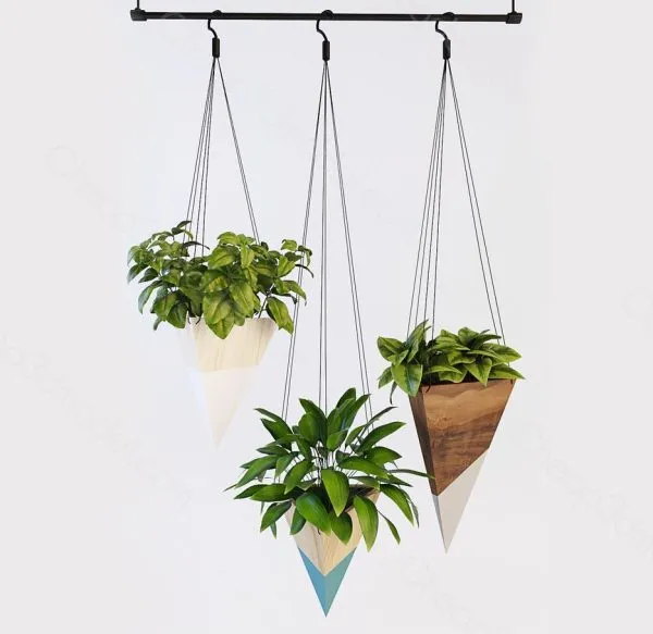 Plants – Flowers – 3D Models Download – Hanging plants 2