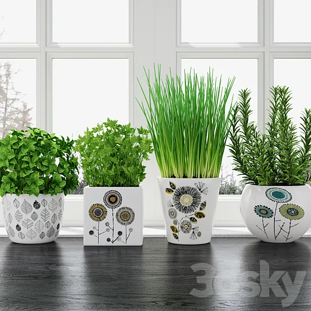 Plants – Flowers – 3D Models Download – Herbs in pots