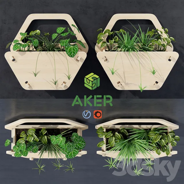 Plants – Flowers – 3D Models Download – Hexagon wall planter