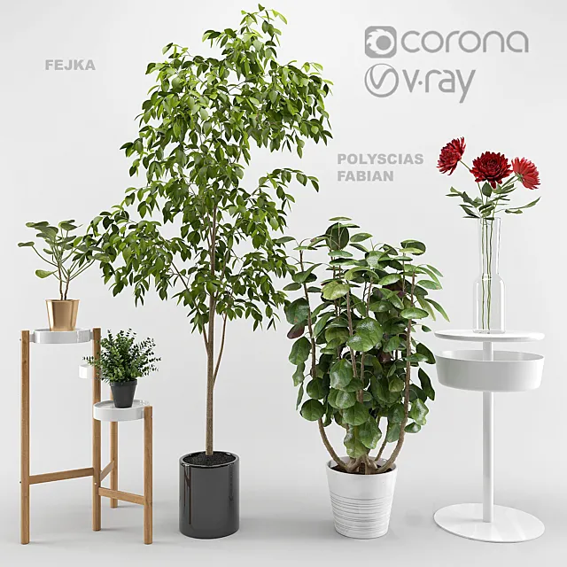 Plants – Flowers – 3D Models Download – Ikea plants set