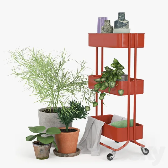 Plants – Flowers – 3D Models Download – IKEA RASKOG