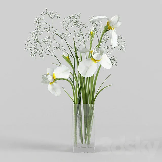 Plants – Flowers – 3D Models Download – Irises and gypsophila in a vase