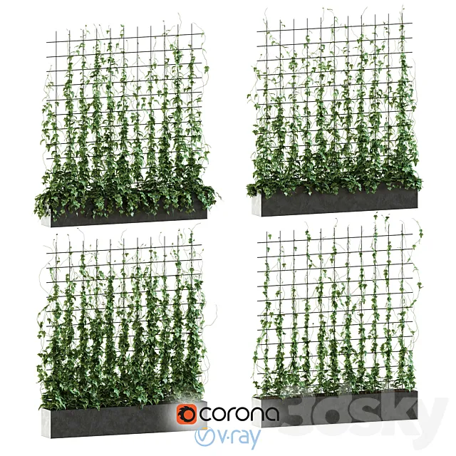 Plants – Flowers – 3D Models Download – Ivy on the grid 3d Model