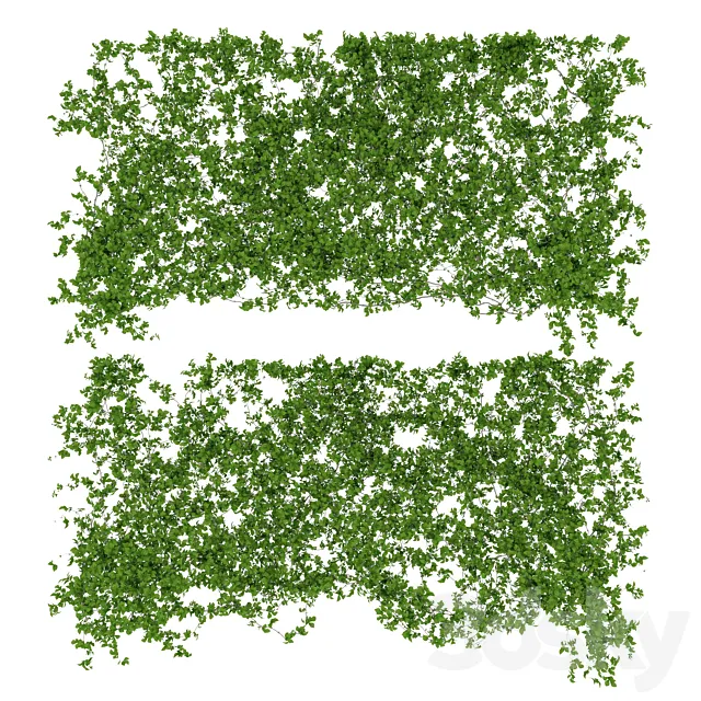 Plants – Flowers – 3D Models Download – Ivy walls 2