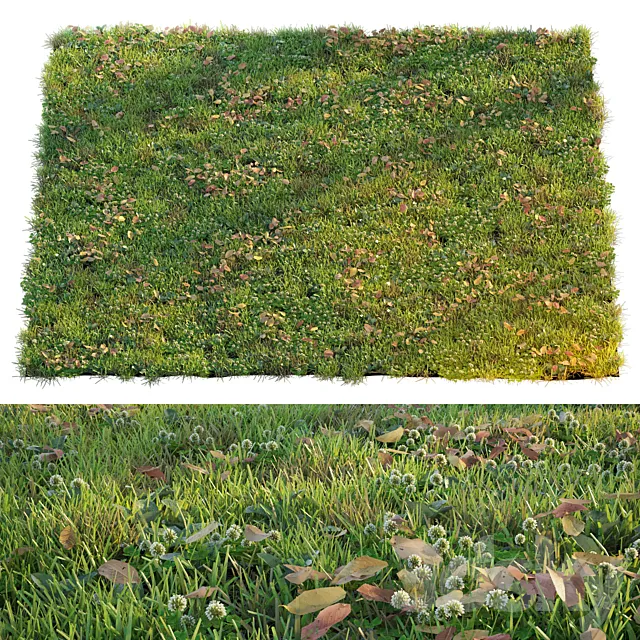 Plants – Flowers – 3D Models Download – Lawn with clover and dry leaves
