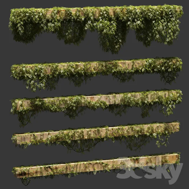 Plants – Flowers – 3D Models Download – Leaves for beams. 5 models