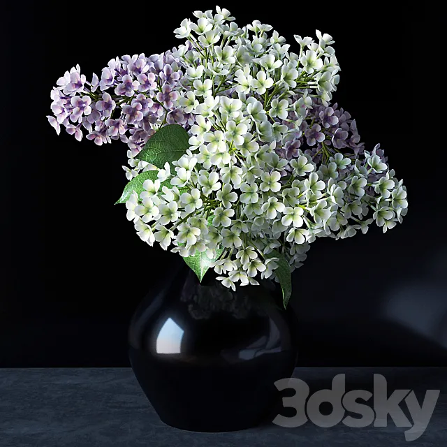Plants – Flowers – 3D Models Download – Lilacs in a vase