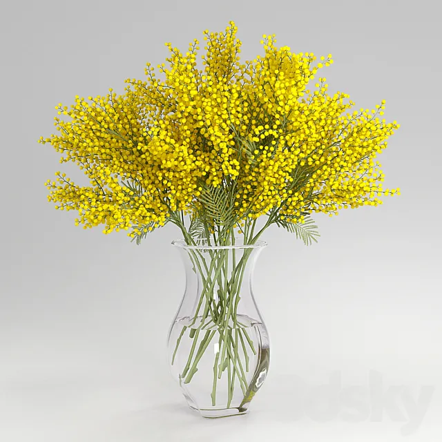 Plants – Flowers – 3D Models Download – mimosa