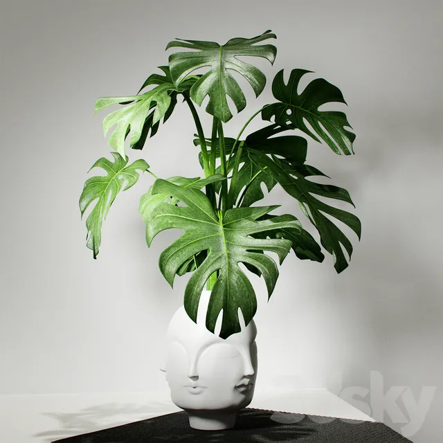 Plants – Flowers – 3D Models Download – Monstera vase DORA MAAR by Jonathan Adler