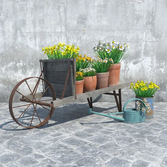 Plants – Flowers – 3D Models Download – Narcissus – Set 1