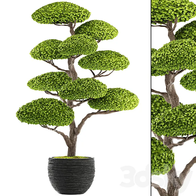 Plants – Flowers – 3D Models Download – Niwaki 2