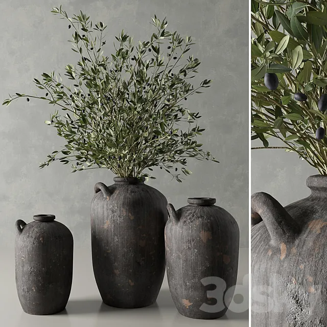 Plants – Flowers – 3D Models Download – Olive in a Spanish Water Vessel by Restoration Hardware