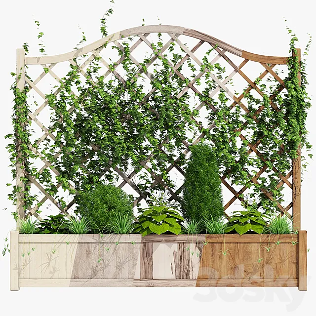 Plants – Flowers – 3D Models Download – Oxford planter