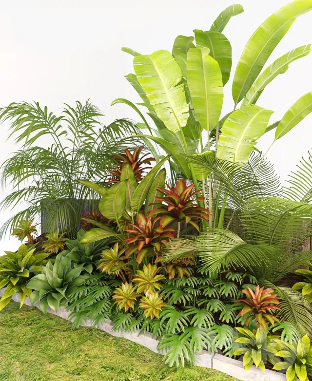 Plants – Flowers – 3D Models Download – Palm Composition