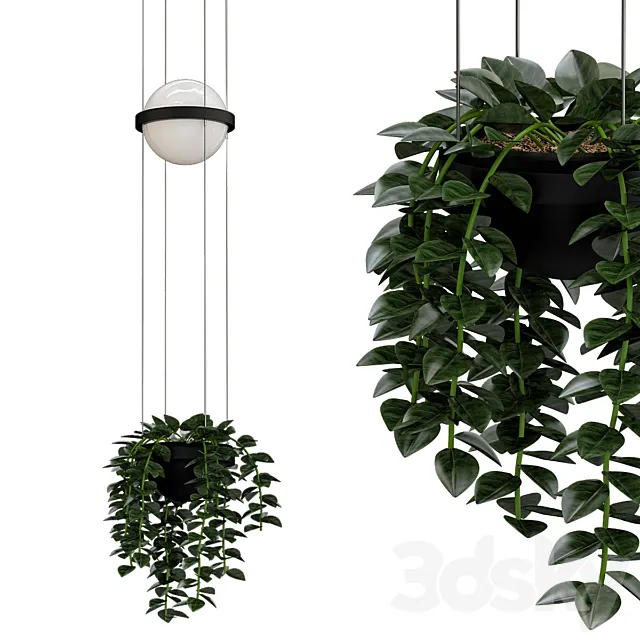 Plants – Flowers – 3D Models Download – Pendant lamp PALMA VIBI