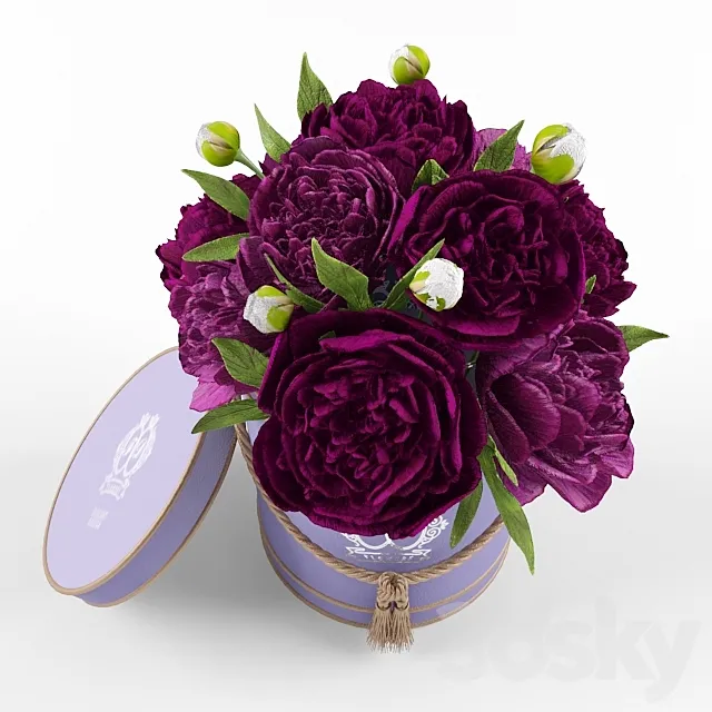 Plants – Flowers – 3D Models Download – Peonies in a box