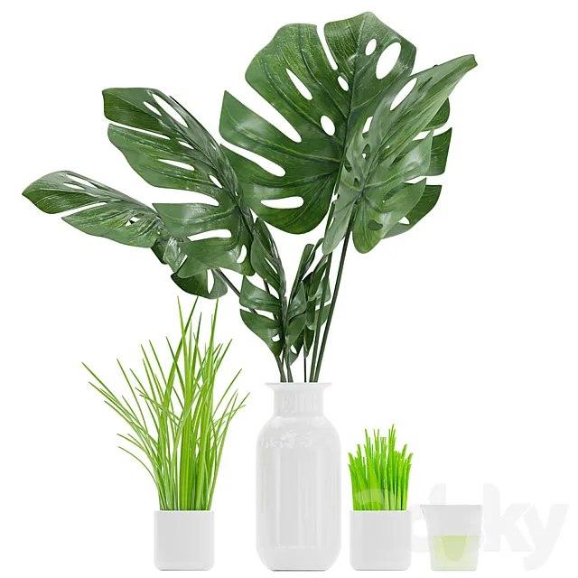 Plants – Flowers – 3D Models Download – Plant 04 (monstera; grass; aloe vera)