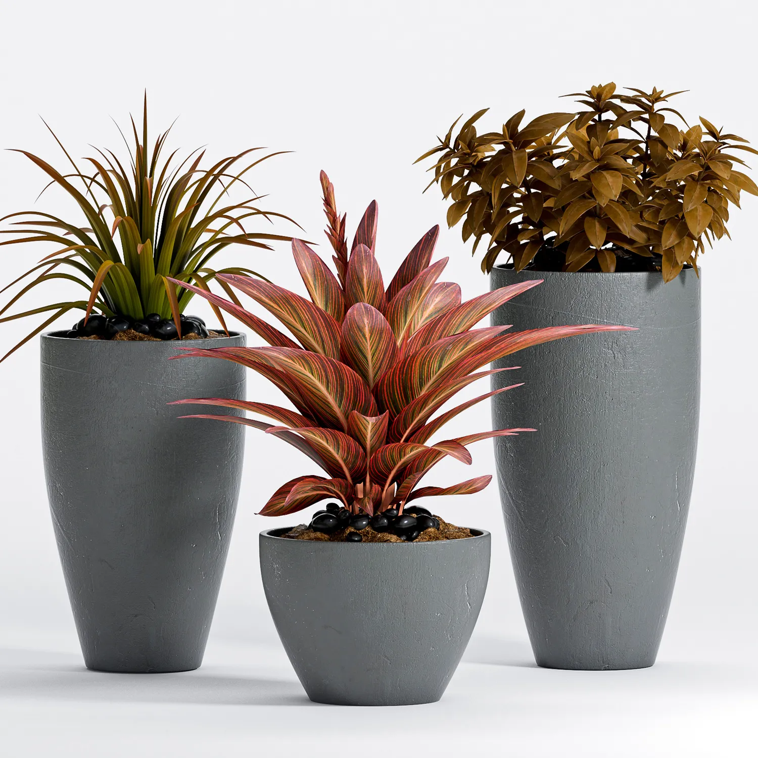 Plants – Flowers – 3D Models Download – PLANT -14