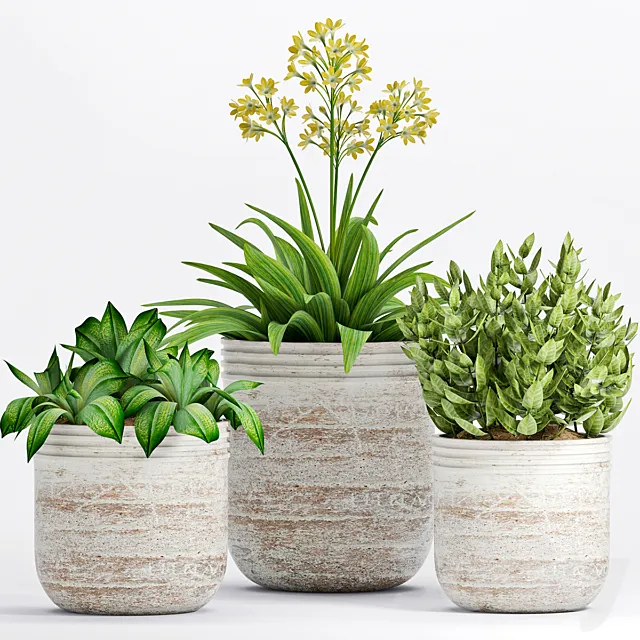 Plants – Flowers – 3D Models Download – PLANT -19