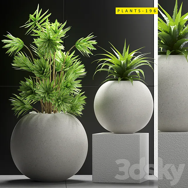 Plants – Flowers – 3D Models Download – Plant 196