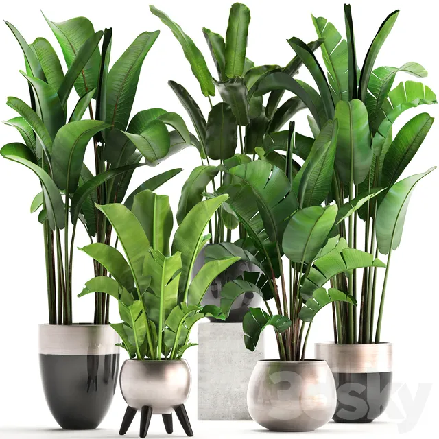 Plants – Flowers – 3D Models Download – Plant collection 308