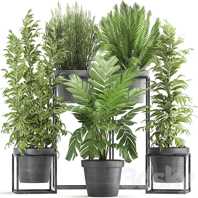 Plants – Flowers – 3D Models Download – Plant collection 317