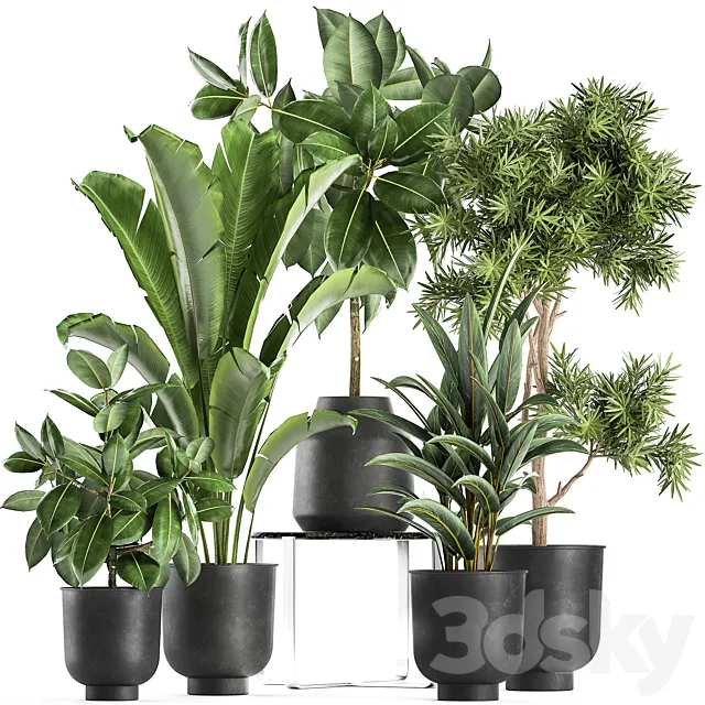 Plants – Flowers – 3D Models Download – Plant collection 855 in Vig Planter pots