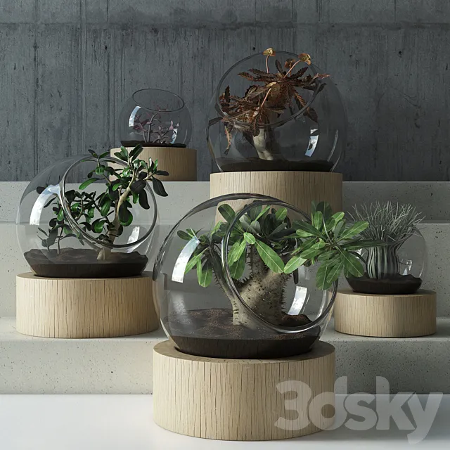 Plants – Flowers – 3D Models Download – Plant in glass