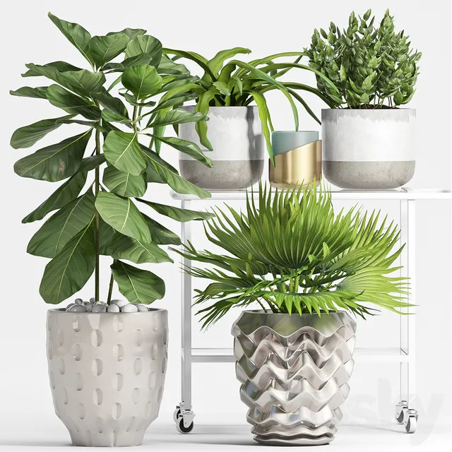 Plants – Flowers – 3D Models Download – Plant Set 59
