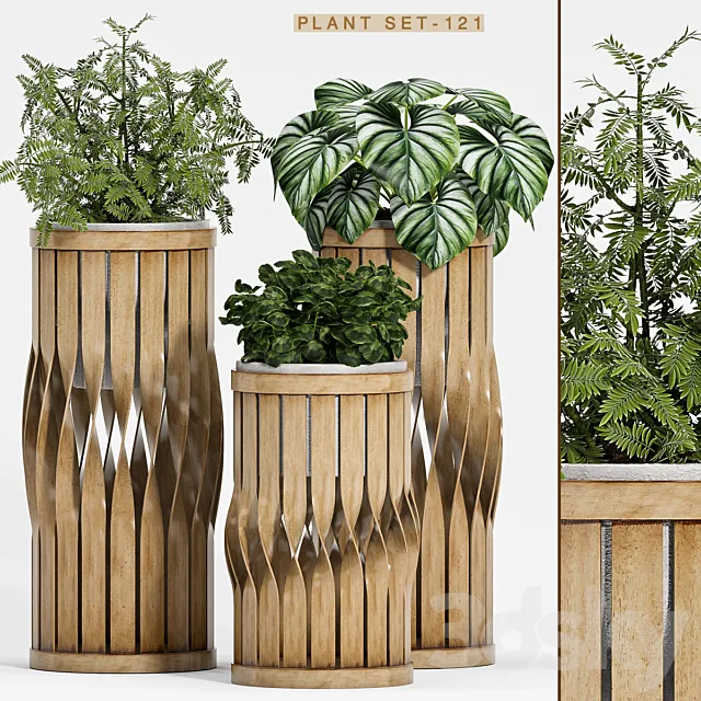 Plants – Flowers – 3D Models Download – Plant set-121