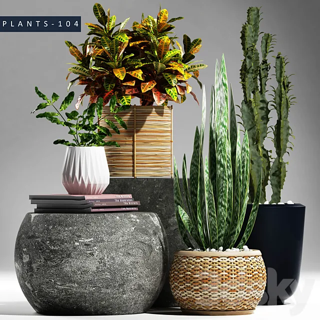 Plants – Flowers – 3D Models Download – Plants 104