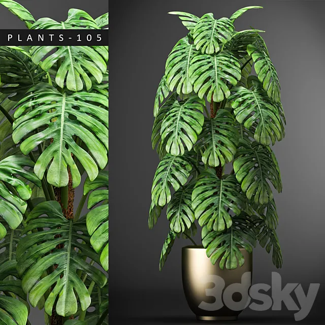 Plants – Flowers – 3D Models Download – PLANTS 105