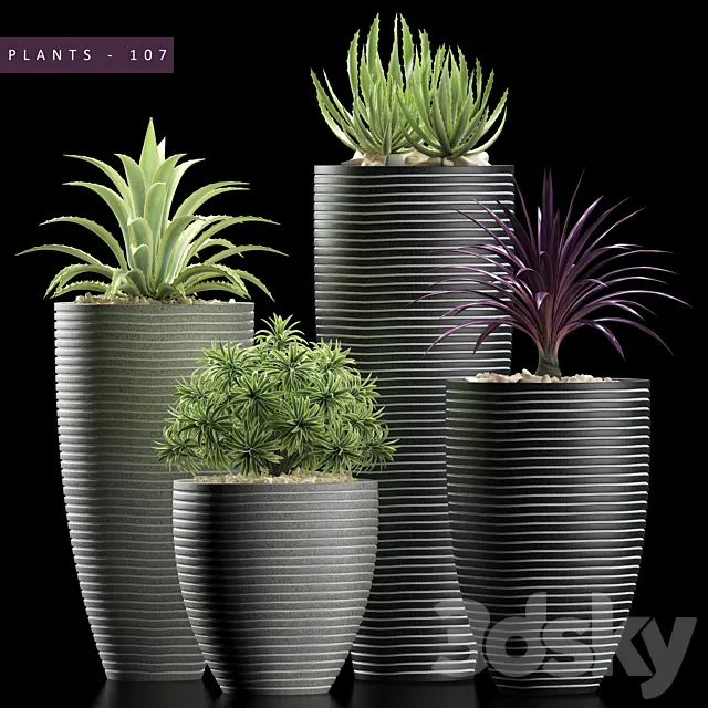 Plants – Flowers – 3D Models Download – Plants 106