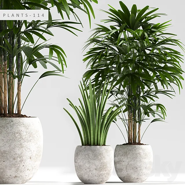 Plants – Flowers – 3D Models Download – PLANTS 114