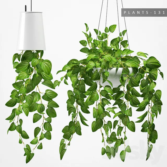 Plants – Flowers – 3D Models Download – PLANTS 131