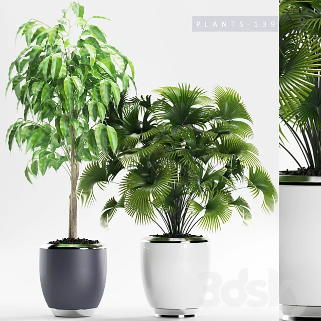 Plants – Flowers – 3D Models Download – Plants 139
