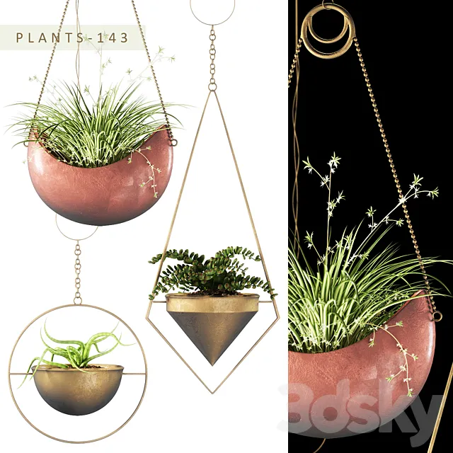 Plants – Flowers – 3D Models Download – Plants 143