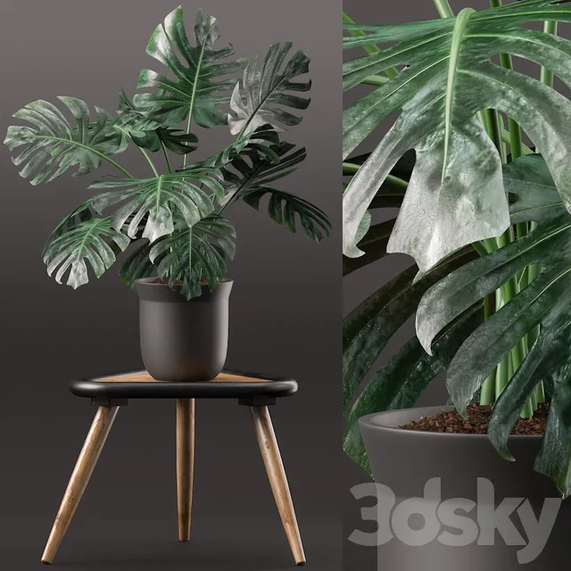 Plants – Flowers – 3D Models Download – Plants 160