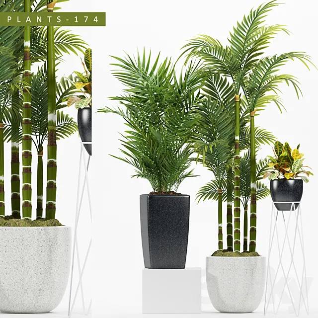Plants – Flowers – 3D Models Download – Plants 174