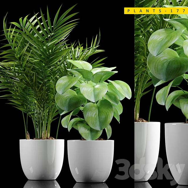 Plants – Flowers – 3D Models Download – Plants 177