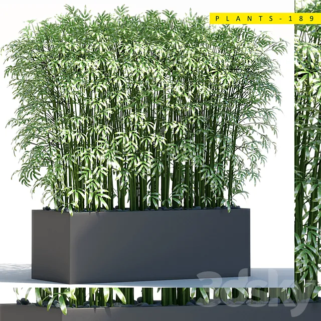 Plants – Flowers – 3D Models Download – Plants 189