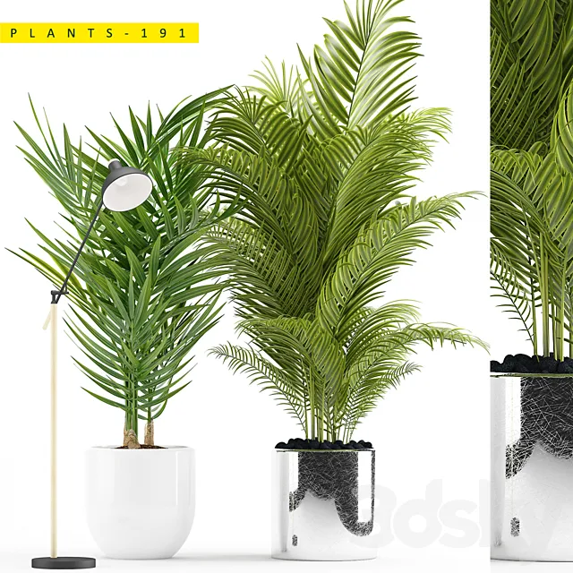 Plants – Flowers – 3D Models Download – Plants 191
