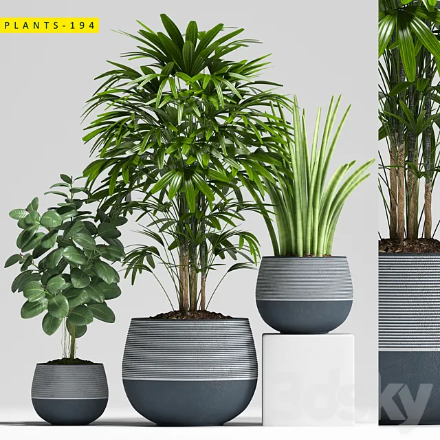 Plants – Flowers – 3D Models Download – Plants 194