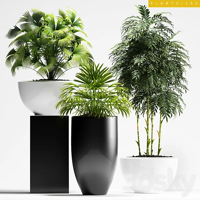 Plants – Flowers – 3D Models Download – Plants 195