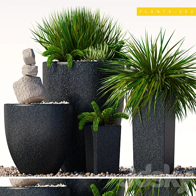 Plants – Flowers – 3D Models Download – Plants 202