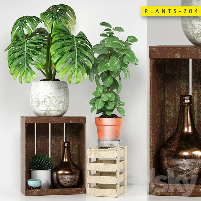 Plants – Flowers – 3D Models Download – Plants 204