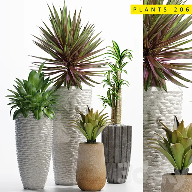 Plants – Flowers – 3D Models Download – Plants 206